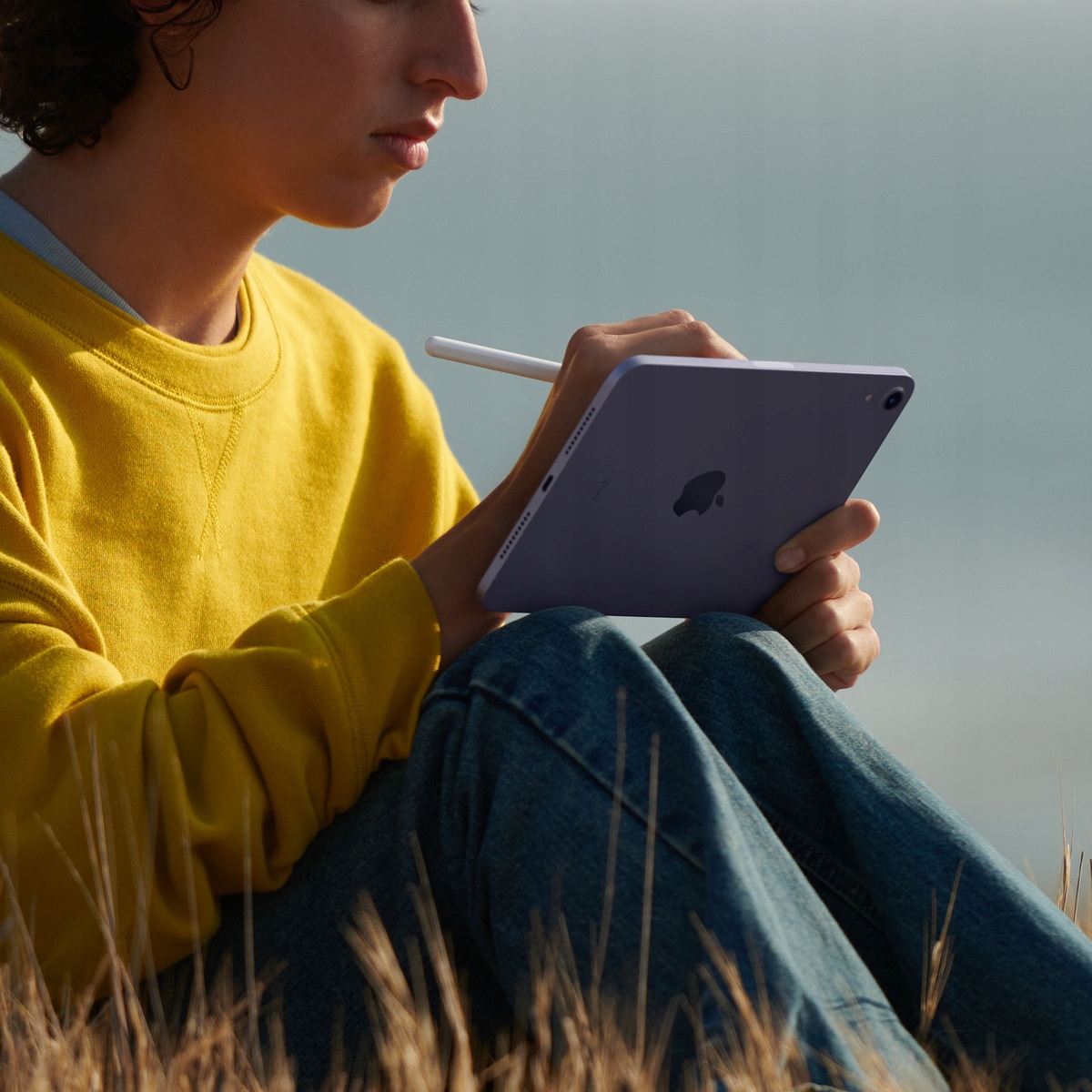 thumb Tablet Apple iPad mini (6nd Gen) 8,3" 4 GB / 256 GB różowy